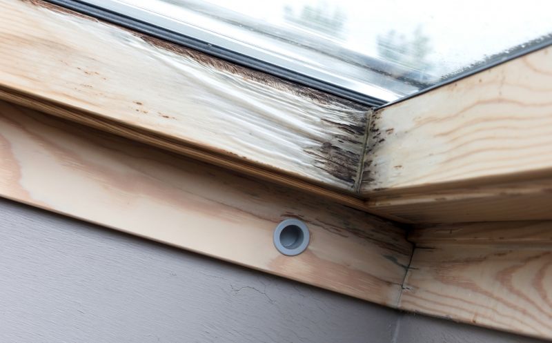 Rot and Water Damage Repair